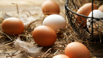 Ein Korb voll Eier: Sind Eier gesund oder nicht?