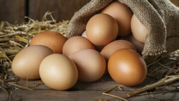 Welche Eier sollen es sein?