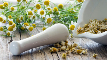 Heilwirkung von Kamille